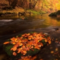 Podzimní Kamenice | fotografie